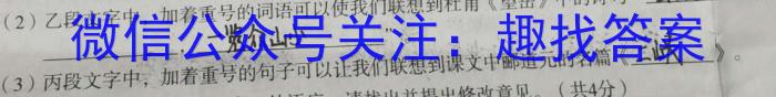 内江市高中2023届第三次模拟考试题(4月)语文