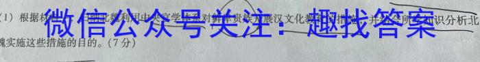 安徽省2022-2023学年高一年级下学期阶段检测联考(231484D)历史