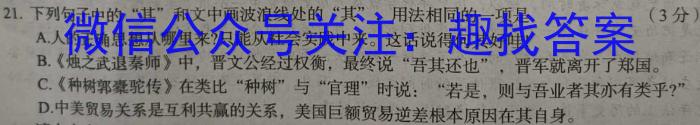 安徽省2023届九年级考前适应性评估（三）（8LR）语文