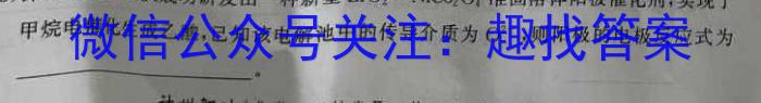 衡中同卷 2024-2023学年度下学期高三四调考试(新教材)化学