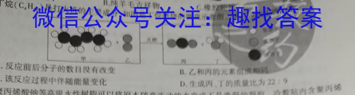 2023届金学导航·模拟卷(十)·D区专用化学