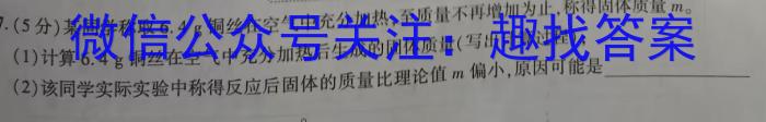 2023届全国普通高等学校招生统一考试(新高考) JY高三终极一考卷(一)化学