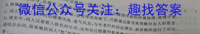 2022-2023学年河南省高二期中考试(23-389B)语文