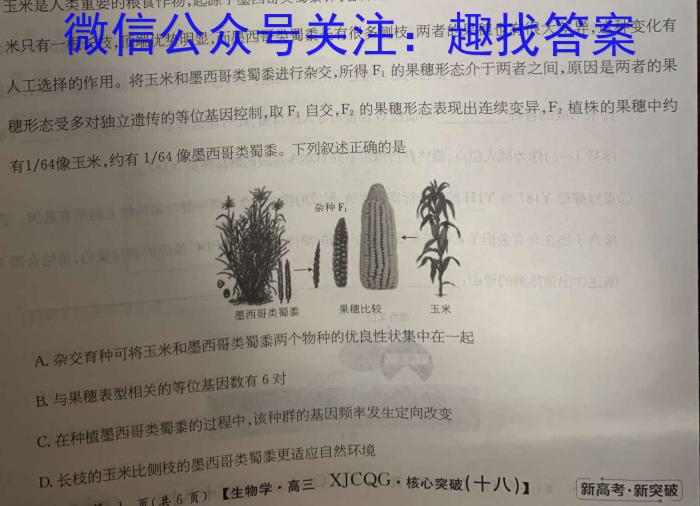 ［衡水大联考］2022-2023学年度下学期高三年级4月联考（新教材-X）生物