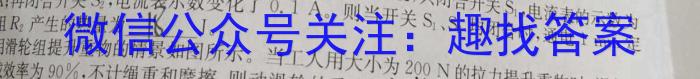 木牍&老庄大联考2023年4月安徽中考名校信息联考卷物理`