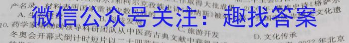 河北省2023届高三年级大数据应用调研联合测评(Ⅳ)政治s