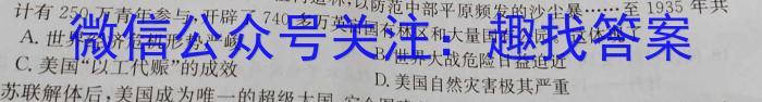 2023届普通高等学校招生全国统一考试 4月青桐鸣大联考(高三)(老高考)历史