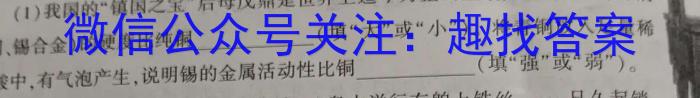 [晋一原创测评]山西省2023年初中学业水平考试模拟测评（二）化学