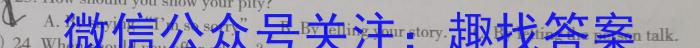 2023届青海大联考高三4月联考（音乐♪）英语
