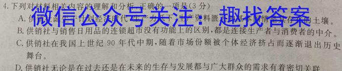 2023年商洛市第二次高考模拟检测试卷(23-390C)语文