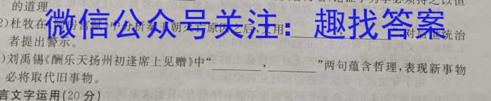 江淮名卷·2023年安徽中考押题卷（一）语文