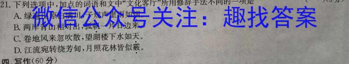 2023年普通高等学校招生统一考试 S3·临门押题卷(四)语文