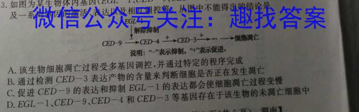 2023年陕西省普通高中学业水平考试全真模拟(五)生物