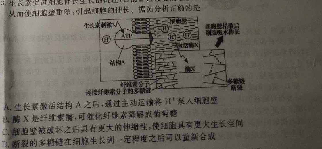 2023年陕西省普通高中学业水平考试全真模拟(二)生物