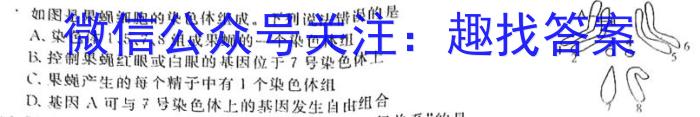 木牍&老庄大联考2023年4月安徽中考名校信息联考卷生物
