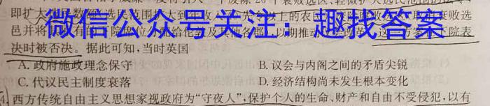 安徽省六安市2022-2023学年度第二学期八年级期中质量调研历史