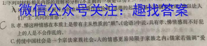 安徽省2022-2023学年九年级下学期期中教学质量调研语文