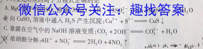 安徽省2023年第五次中考模拟考试练习化学