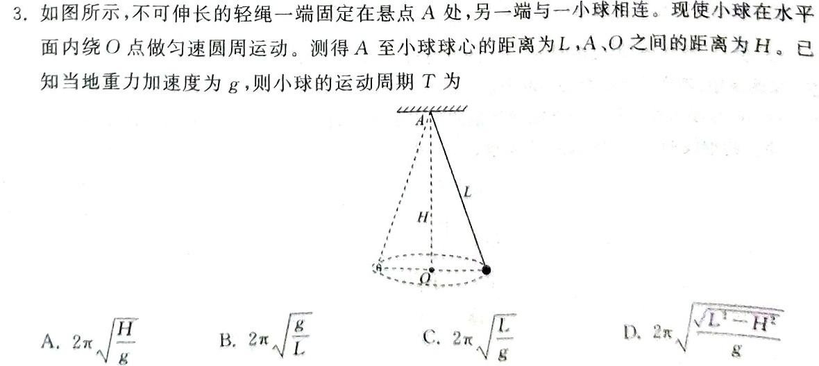 沧衡八校联盟高二年级2022~2023学年下学期期中考试(23-387B)-物理