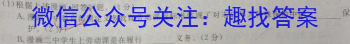 2022-2023学年安徽省九年级下学期阶段性质量检测（七）地理.