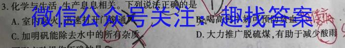 2023年湖南省普通高中学业水平合格性考试仿真试卷(专家版四)化学