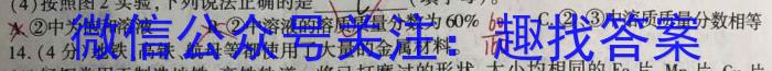 辽宁省2024~2023下协作校高三第一次考试(23-404C)化学