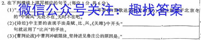 江西省乐平市2022-2023学年度九年级下学期期中学业评价语文