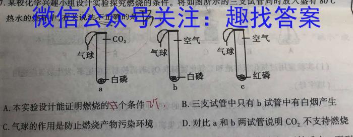 安徽省2023年最新中考模拟示范卷(四)化学
