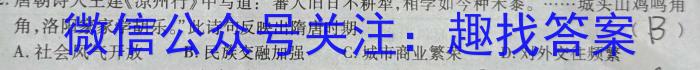 河南省豫北名校普高联考2022-2023学年高三测评(五)历史试卷