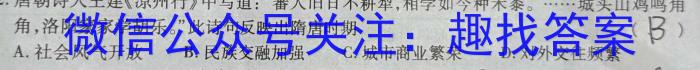 安徽省2023年无为市九年级中考模拟检测（二）历史