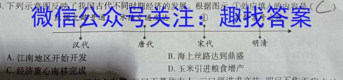 2023年河南省初中学业水平暨高级中等学校招生模拟考试（四）历史