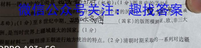 安徽省2023届九年级下学期教学评价二（期中）历史