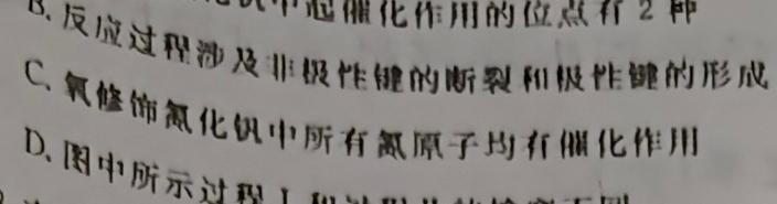 深圳二模2023年深圳市高三第二次调研考试化学