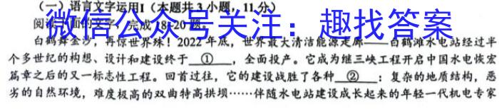 安徽省2023年九年级检测二语文
