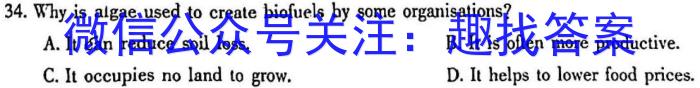 2023届衡中同卷押题卷 福建专版(一)二三英语