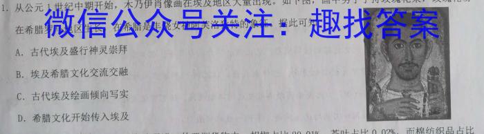 安徽省2023年无为市九年级中考模拟检测（二）历史