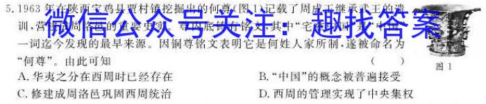 天一大联考2023届高三第一次全真模拟考试历史