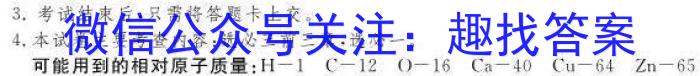 江西省吉安市十校联盟2022-2023学年九年级第二学期期中联考化学