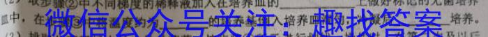 2023年普通高等学校全国统一模拟招生考试 新未来4月高二联考生物