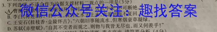 安徽省十联考2022-2023学年度第二学期高二期中联考语文