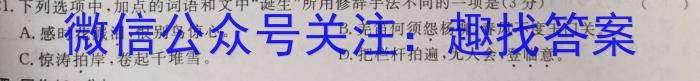 2023衡水金卷先享题压轴卷答案 山东专版新高考A二语文