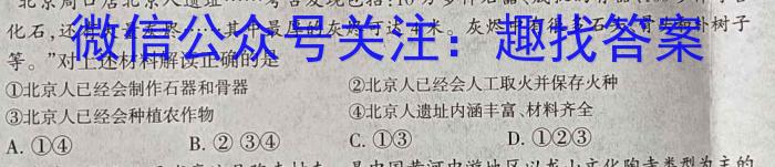 河南省2023年新野县九年级第一次模拟考试（23-CZ123c）历史试卷
