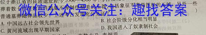 河南省驻马店市2022-2023学年度第二学期期中学业水平测试试卷历史