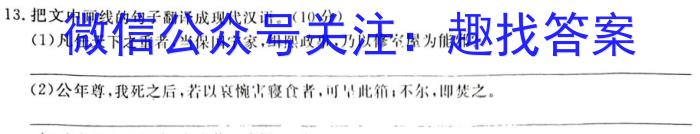 2023年吕梁市中考模拟考试题(卷)语文