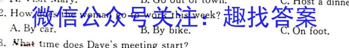 安徽省2022-2023学年九年级第一次调研考试（23-CZ143c）英语试题