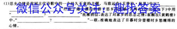 萍乡市2024-2023学年度第二学期高二期中考试(23-421B)语文