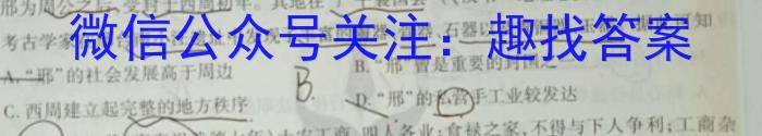 师大名师金卷2023年陕西省初中学业水平考试（三）历史