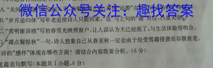 2023年安徽省初中毕业学业考试模拟仿真试卷（五）语文