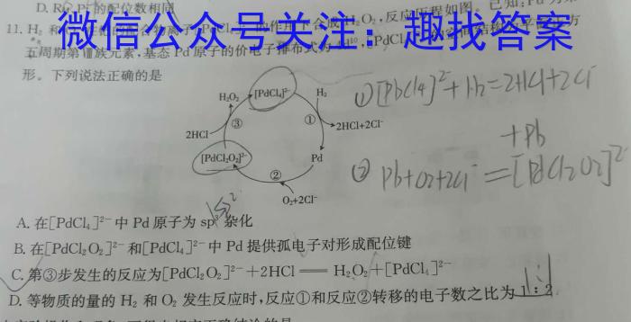 安徽省2025届七年级下学期教学评价二（期中）化学