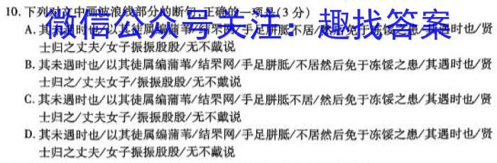 2023届福建省漳州市高中毕业班第四次教学质量检测语文